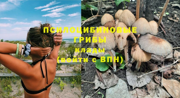скорость Краснослободск