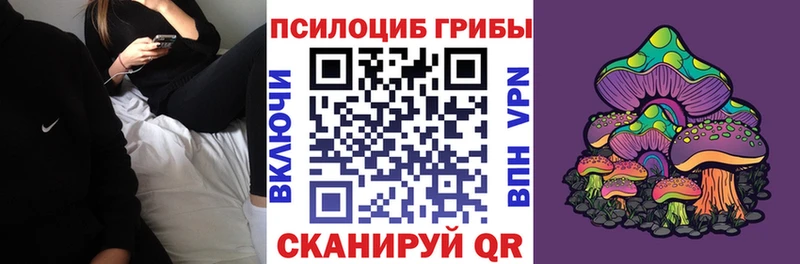 Псилоцибиновые грибы прущие грибы  Купить  Болохово 